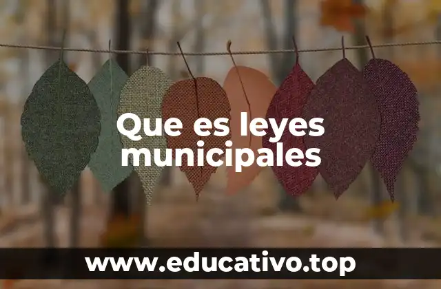 El papel de las normativas locales en la vida cotidiana