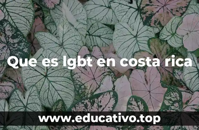 Que es lgbt en costa rica