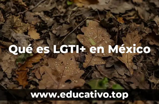 Qué es LGTI+ en México