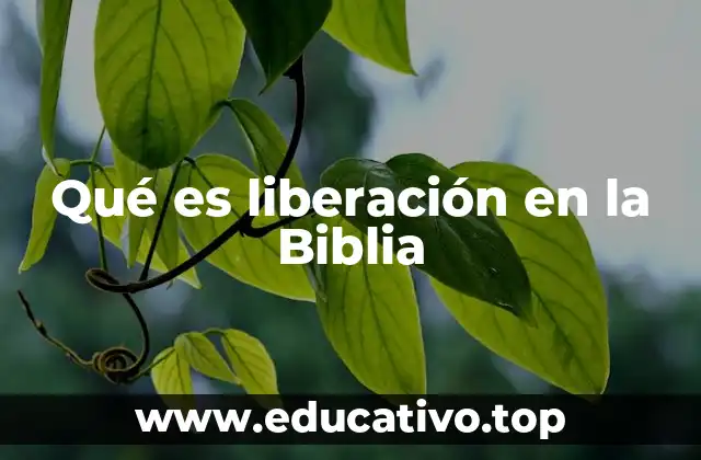 Qué es liberación en la Biblia