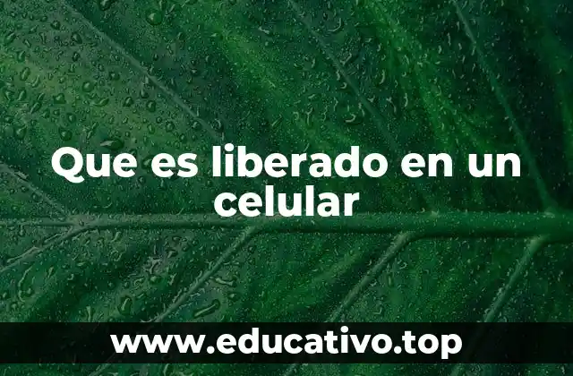Que es liberado en un celular