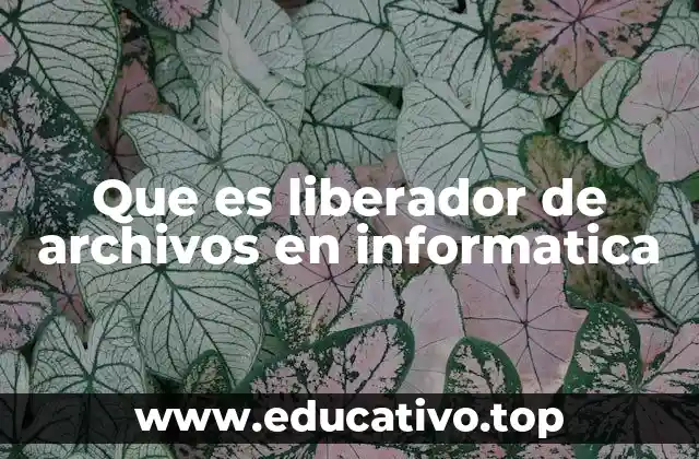 Que es liberador de archivos en informatica