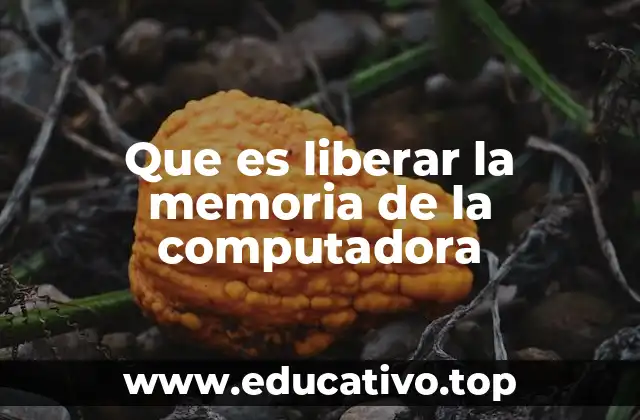 Que es liberar la memoria de la computadora