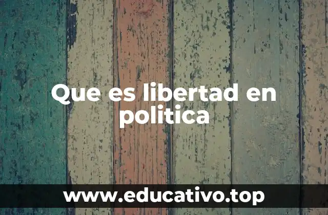 Que es libertad en politica