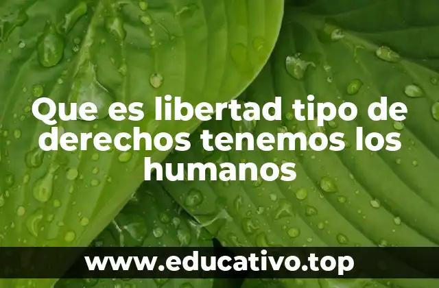 Que es libertad tipo de derechos tenemos los humanos