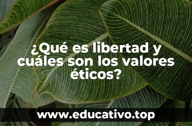 ¿Qué es libertad y cuáles son los valores éticos?
