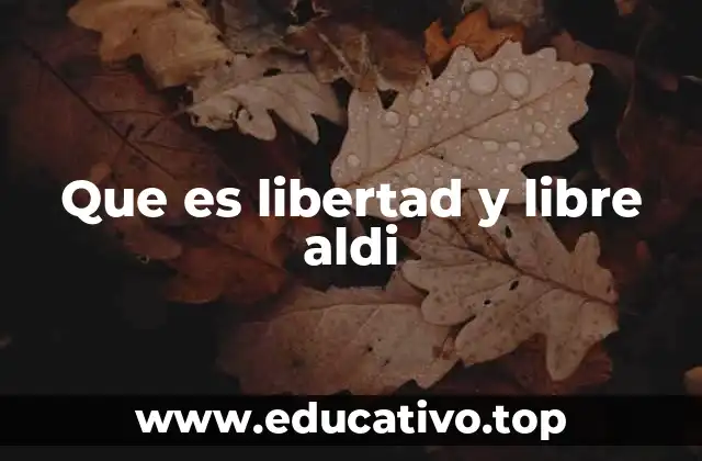 Que es libertad y libre aldi