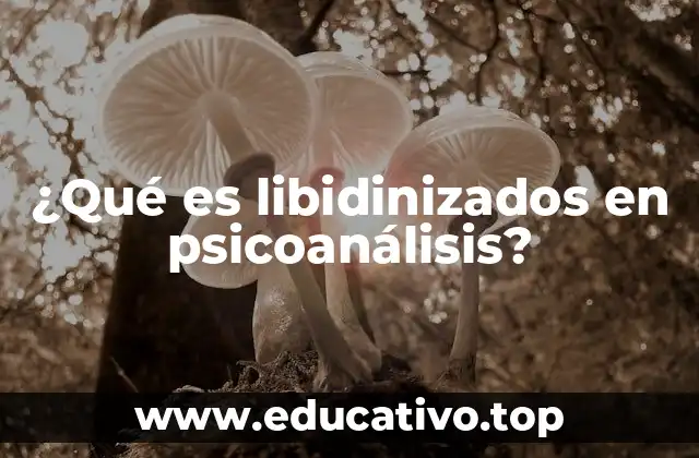 ¿Qué es libidinizados en psicoanálisis?