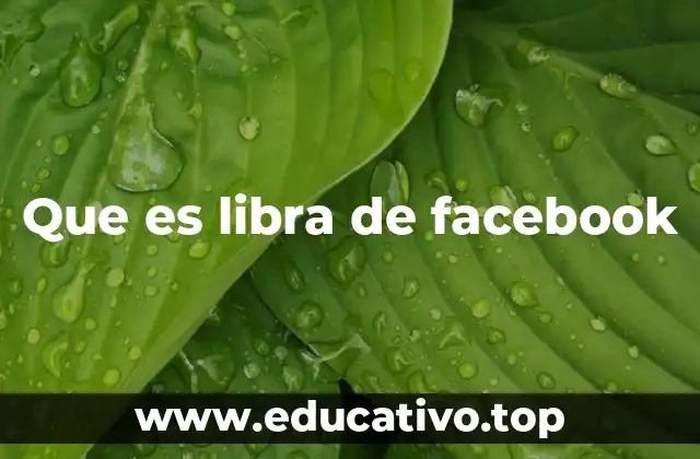 Que es libra de facebook