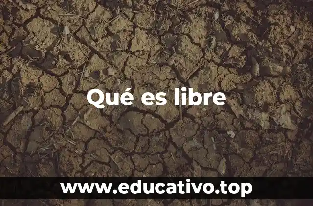 Qué es libre