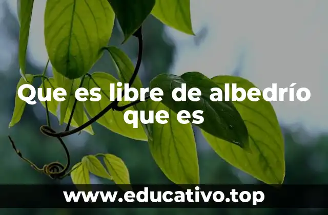 Que es libre de albedrío que es