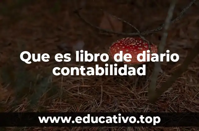 Que es libro de diario contabilidad