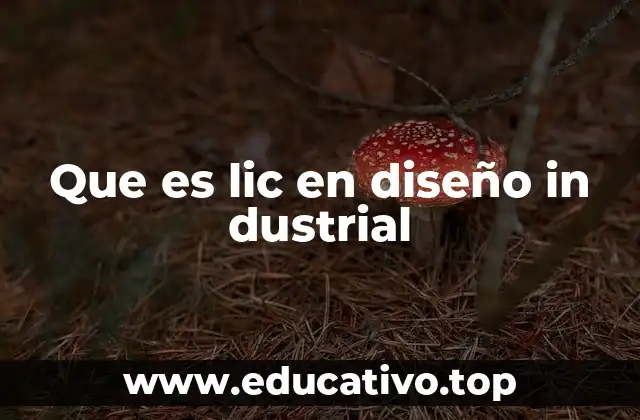 Que es lic en diseño in dustrial