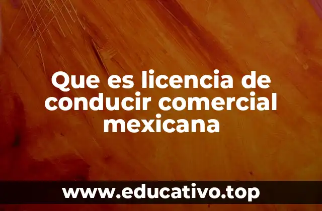 Que es licencia de conducir comercial mexicana