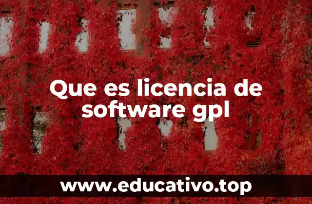 La importancia de las licencias en el desarrollo de software