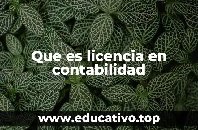 Que es licencia en contabilidad
