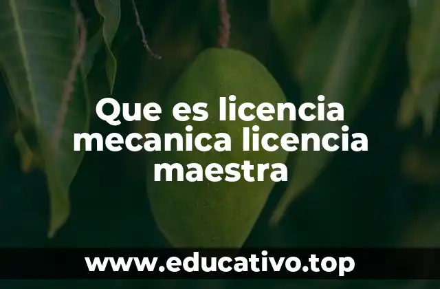 Que es licencia mecanica licencia maestra