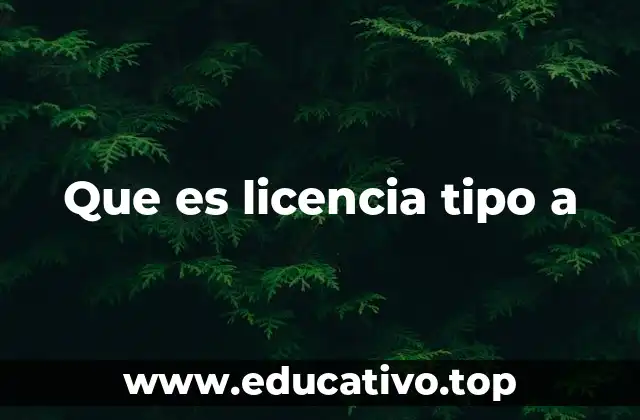 Que es licencia tipo a