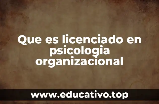 Que es licenciado en psicologia organizacional