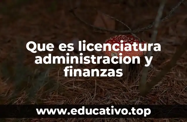 Que es licenciatura administracion y finanzas