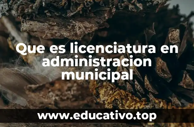 Que es licenciatura en administracion municipal