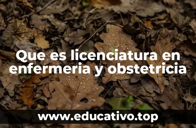 Que es licenciatura en enfermeria y obstetricia