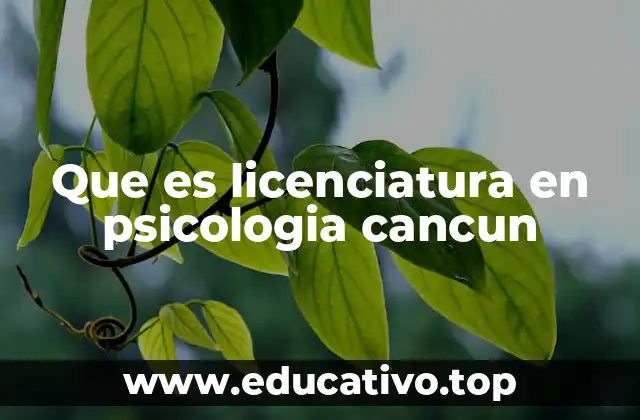 Que es licenciatura en psicologia cancun