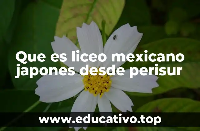 Que es liceo mexicano japones desde perisur