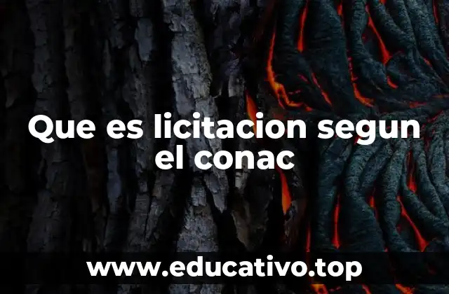 Que es licitacion segun el conac
