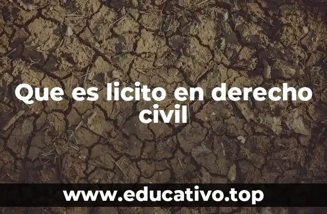 Que es licito en derecho civil