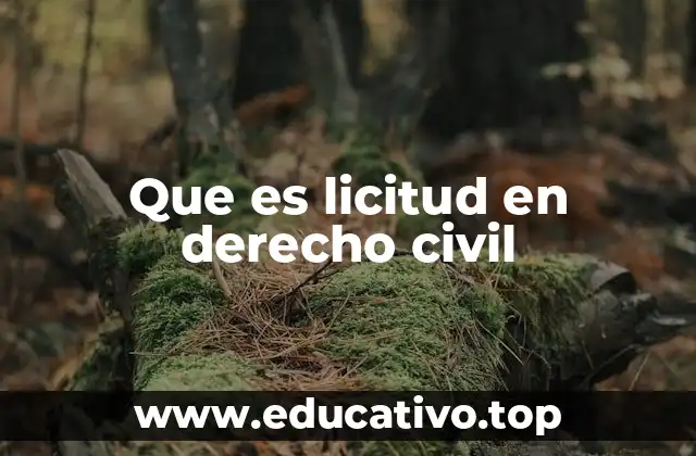 Que es licitud en derecho civil
