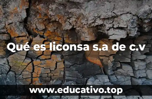 Qué es liconsa s.a de c.v