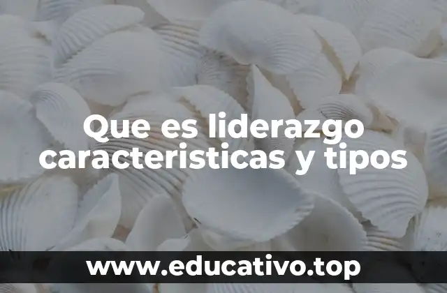 Que es liderazgo caracteristicas y tipos