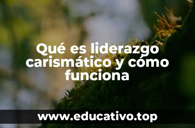 Qué es liderazgo carismático y cómo funciona