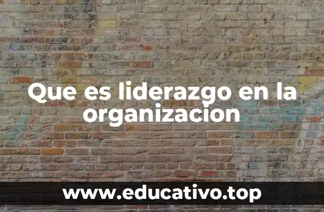 Que es liderazgo en la organizacion