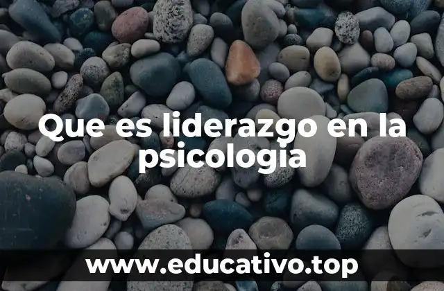 Que es liderazgo en la psicologia