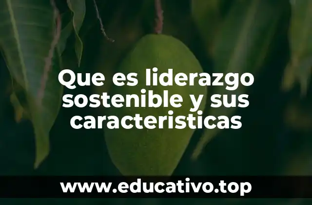 Que es liderazgo sostenible y sus caracteristicas