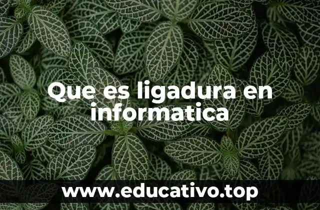 Que es ligadura en informatica