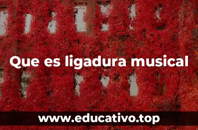 Que es ligadura musical