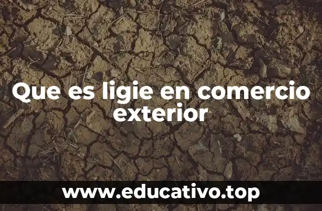Que es ligie en comercio exterior