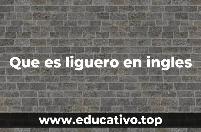 Que es liguero en ingles