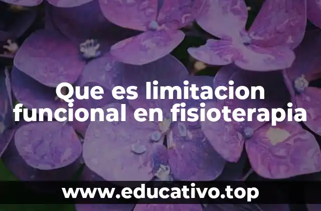 Que es limitacion funcional en fisioterapia
