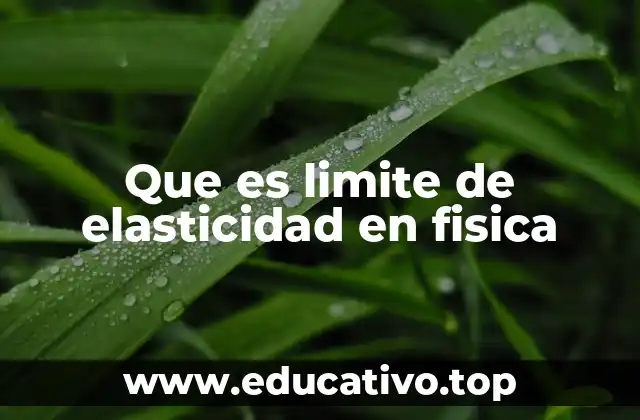 Que es limite de elasticidad en fisica