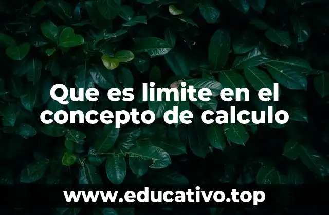 El rol del límite en la base del cálculo diferencial