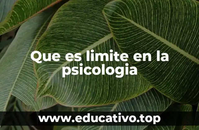 Que es limite en la psicologia