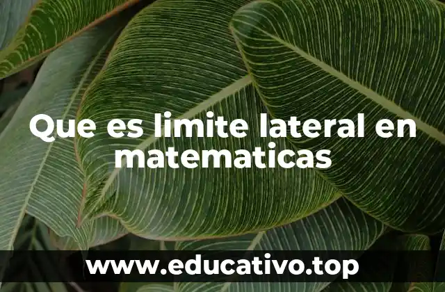 Que es limite lateral en matematicas