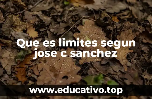 Que es limites segun jose c sanchez