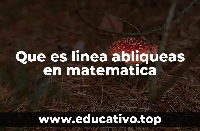 Que es linea abliqueas en matematica
