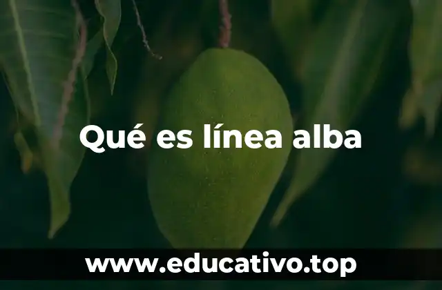 Qué es línea alba