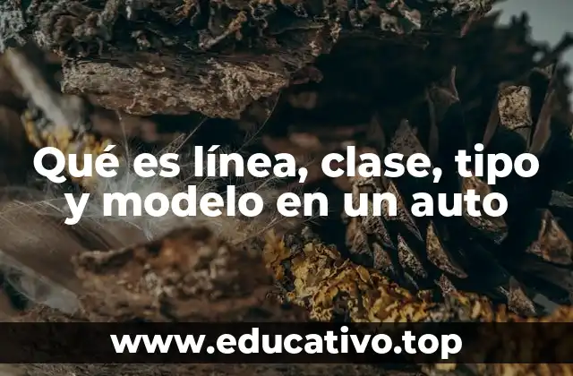 Qué es línea, clase, tipo y modelo en un auto